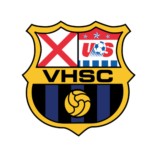 500x500 VHSC Logo